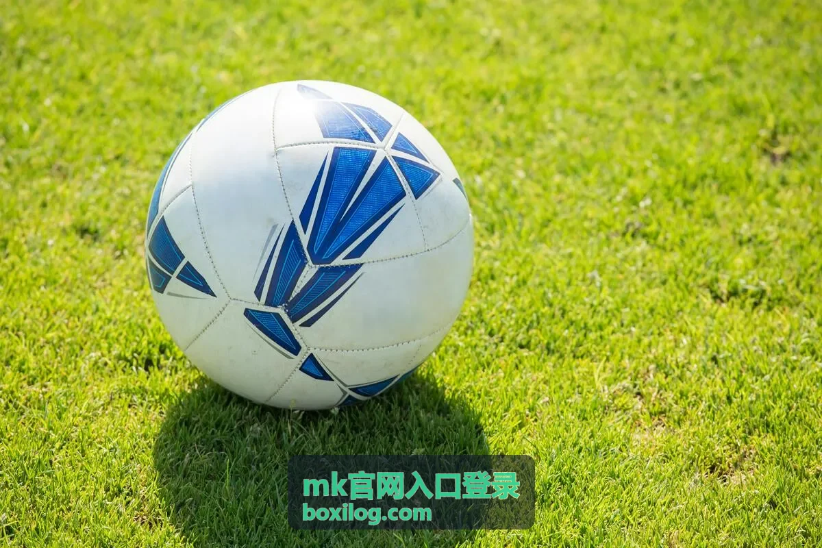 mk官网入口登录访问指引图