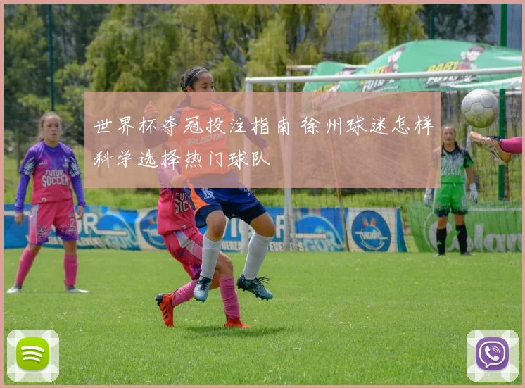 世界杯夺冠投注指南 徐州球迷怎样科学选择热门球队