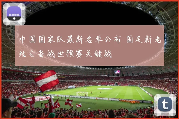 中国国家队最新名单公布 国足新老结合备战世预赛关键战