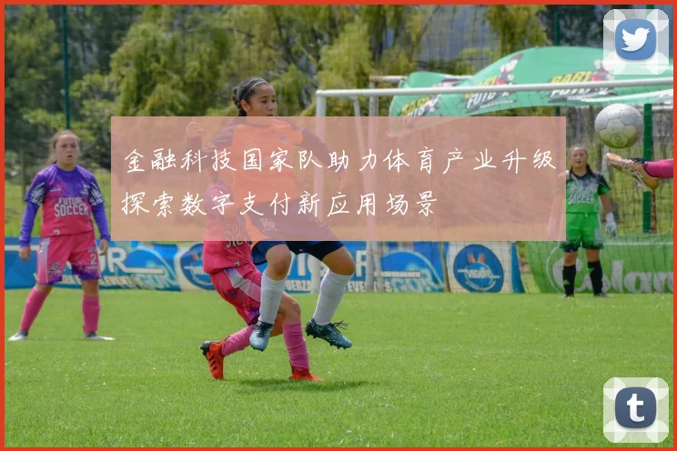 金融科技国家队助力体育产业升级探索数字支付新应用场景