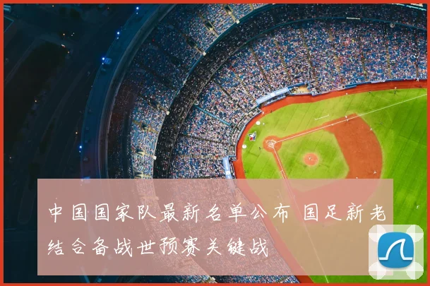 中国国家队最新名单公布 国足新老结合备战世预赛关键战