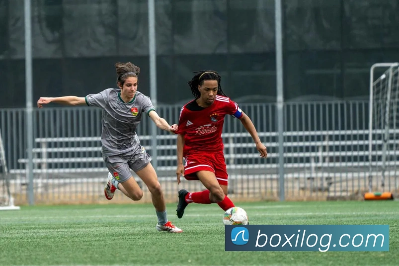 多媒体互动体验